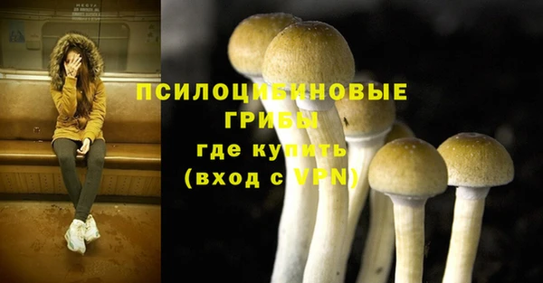 меф Корсаков