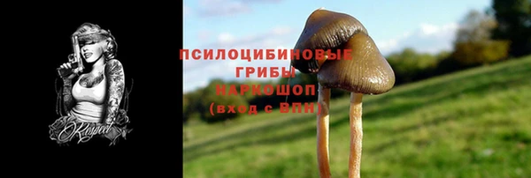 меф Корсаков