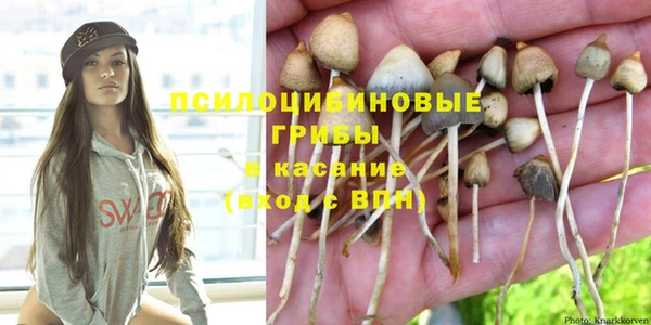 прущая мука Костерёво
