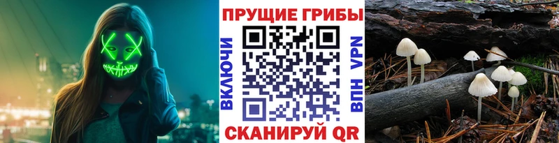 Купить закладки  Томск  Галлюциногенные грибы MAGIC MUSHROOMS 